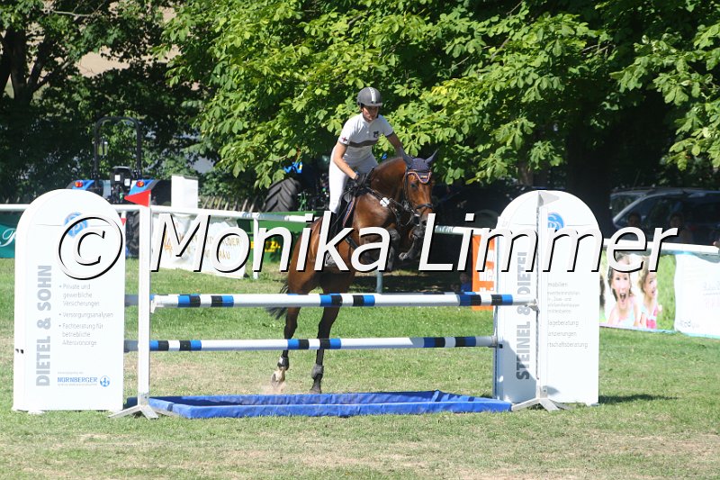 308M2325_Zera_Springpf L.JPG